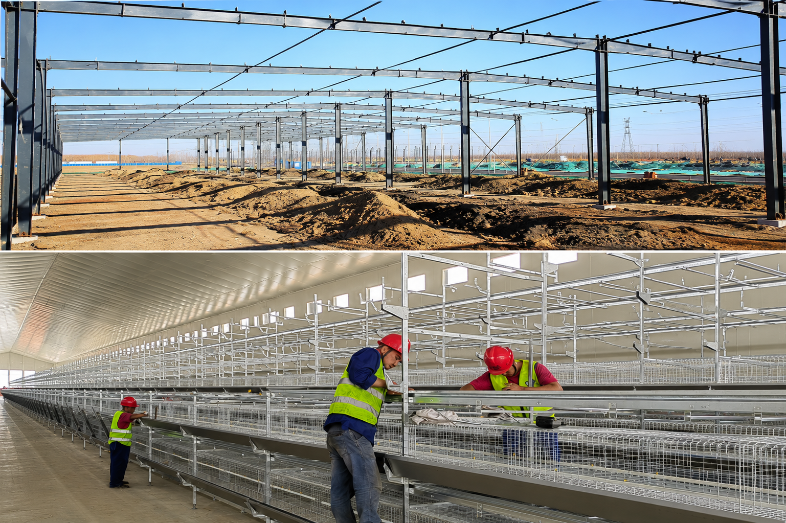 LIGHT STEEL STRUCTURE CHICKEN COOP, PIGSTY